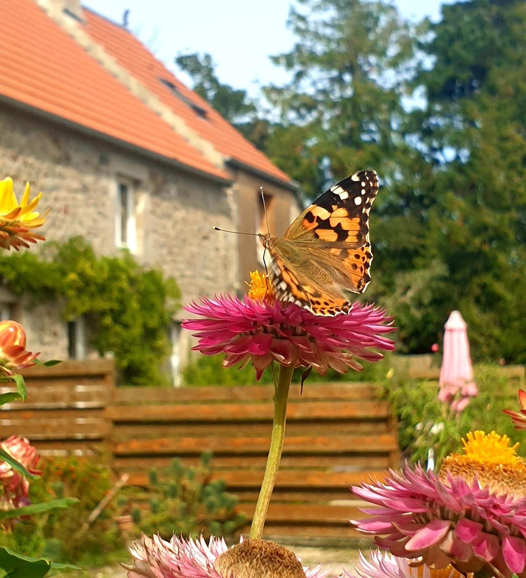 Holiday home Du Clos Giot