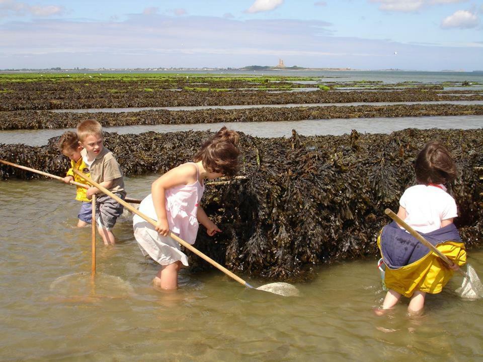 Du Clos Giot * Saint-Vaast-la-Hougue